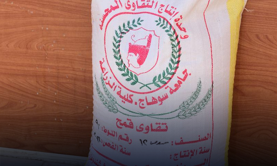 مجلس الوزراء : استيراد شحنات تقاوي فاسدة .. شائعة مغرضة