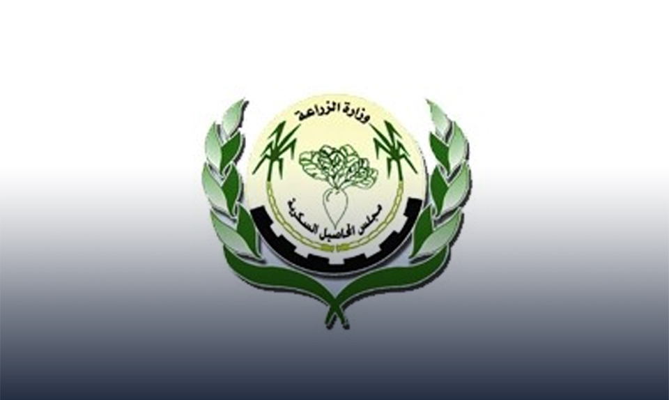 مجلس المحاصيل السكرية يتوقع تحقيق الاكتفاء الذاتي من السكر العام المقبل