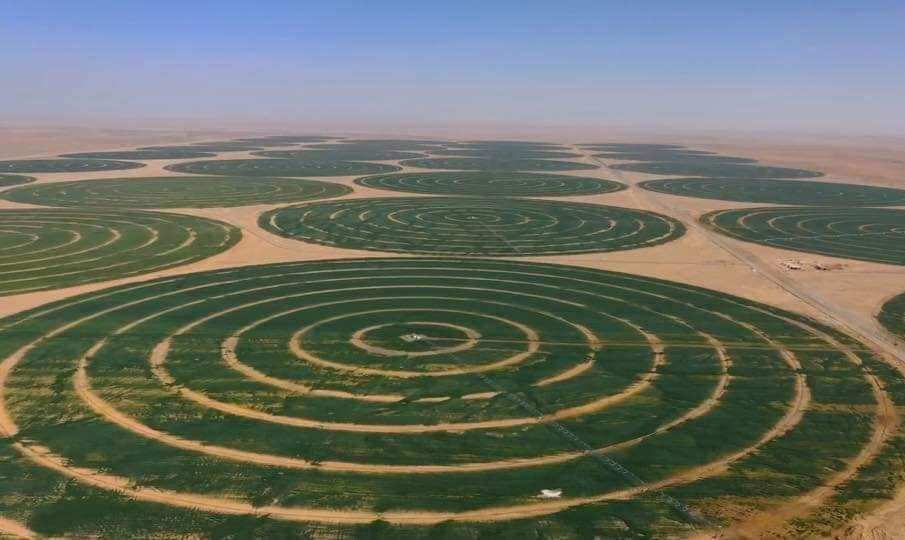 التنمية الزراعية تستهدف استنباط محاصيل جديدة وزيادة رقعة الأراضي بعدة مناطق