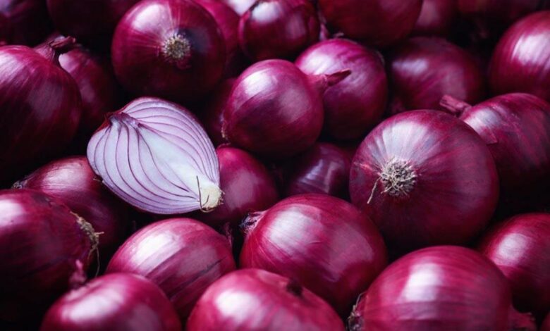 الزراعة تتوقع وصول سعر كيلو البصل لعشرين جنيها بنهاية الشهر الجاري