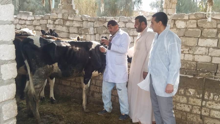 وزير الزراعة يكلف بتنظيم قافلة لعلاج الماشية بقرى كفر الشيخ