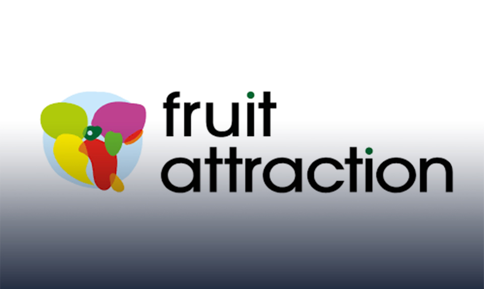 مشاركة مصرية واسعة في معرض "fruit attraction" .. صادراتنا تقتحم 65 سوقًا جديدًا