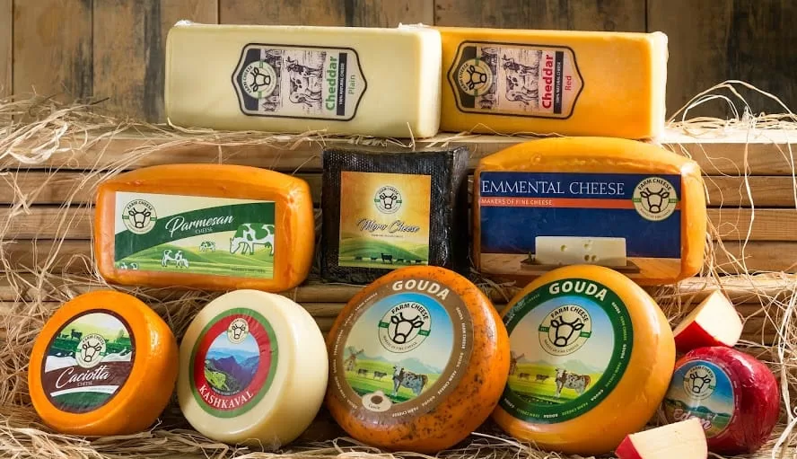 ميلاد وهيب: "فارم تشيز" تستثمر 50 مليون جنيه في أنتاج أنواع جديدة من الجبن لخفض فاتورة الاستيراد