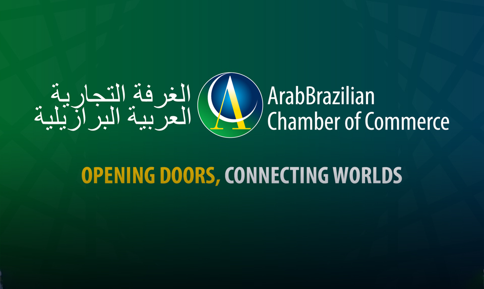 مستثمرون برازيليون يدروسون مشروع لوجيتسي لإعادة تصدير السلع بقناة السويس