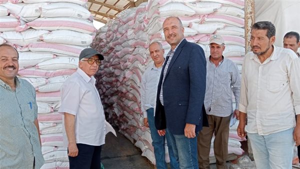 الزراعة : التقاوى متوفرة طبقا للخريطة الصنفية وبأسعار مخفضة