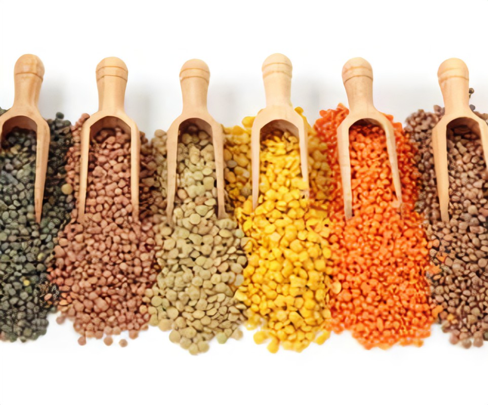 الرضا والإيمان تخطط لإقامة مصنع لتعبئة البقوليات بـ مدينة السادات الصناعية