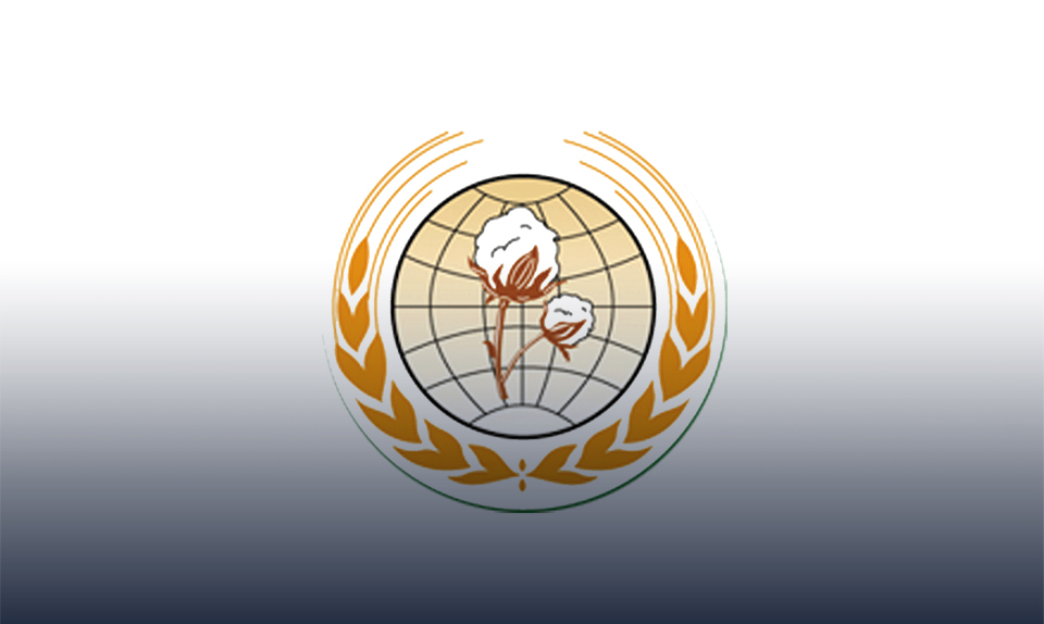 "الدولية" للمحاصيل الزراعية تتجه لإقامة كيان متخصص في استصلاح وتنمية المناطق الصحراوية