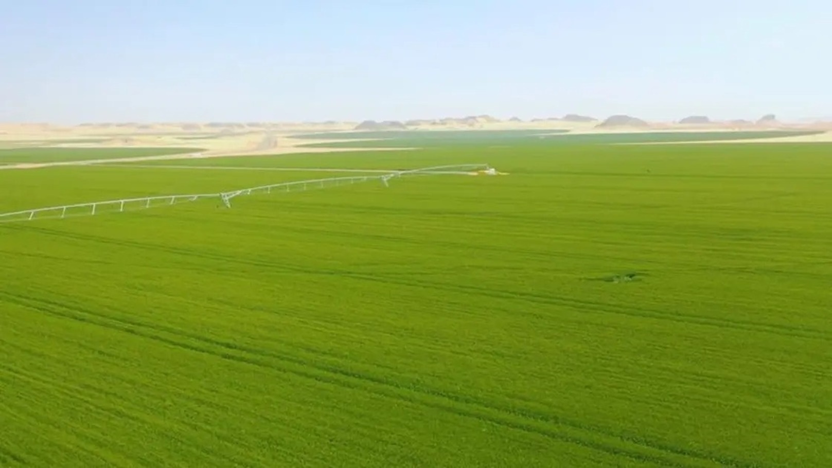 كرست تخطط لزراعة 5 الاف فدان من مشروعها بالوادي الجديد خلال خمس سنوات