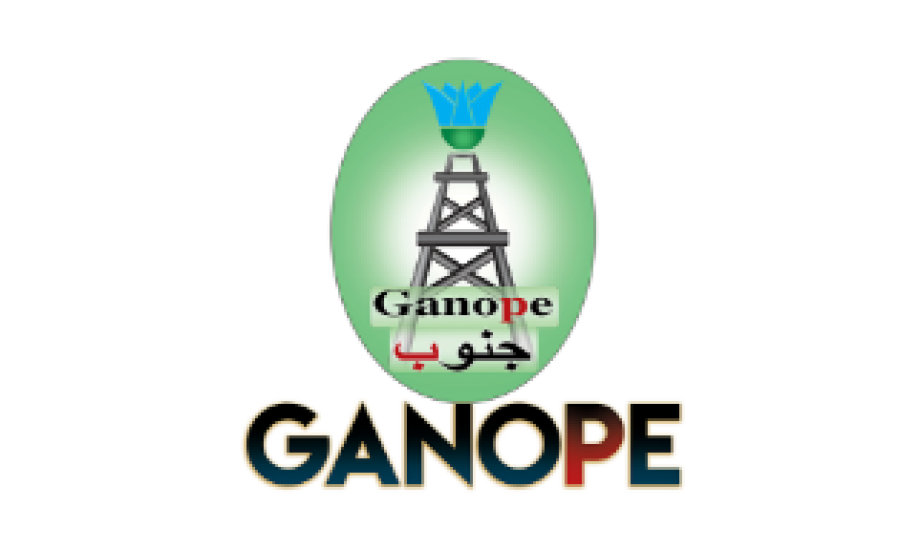 جنوب الوادي للبترول تخطط للبدء في حفر آبار جديدة خلال العام المالي الجاري