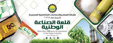 السكر التكاملية تخطط لزيادة إنتاجية مصنع الحوامدية