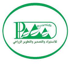 ييراميدز للتصنيع الزراعي : هجمات الحوثي رفعت أسعار النولون البحري والبري