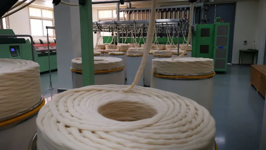 بدء العد التنازلي لافتتاح أكبر مصنع للنسيج في العالم بمحافظة الغربية