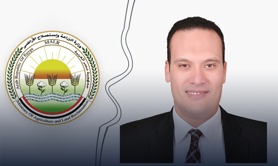 الزراعة : الصادرات المصرية تسجل 7 ملايين طن خلال الموسم الحالي