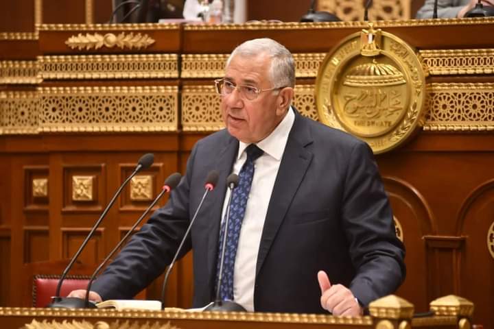 وزير الزراعة أمام الشيوخ: صدرنا حاصلات ب ٣،٧ مليار دولار والتحديات كبيرة