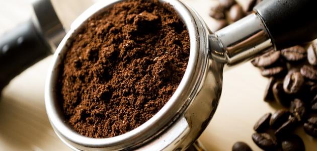 الزراعة توضح : زراعة البن في مصر ما زالت في إطار التجارب البحثية