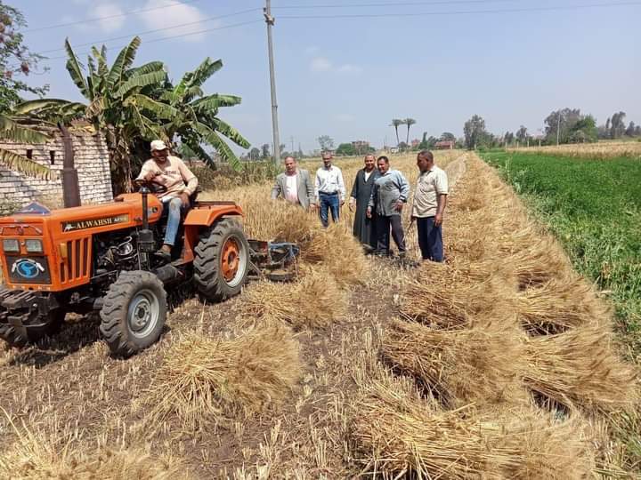 وزير التموين يعلن بدء موسم إستلام القمح من المزارعين