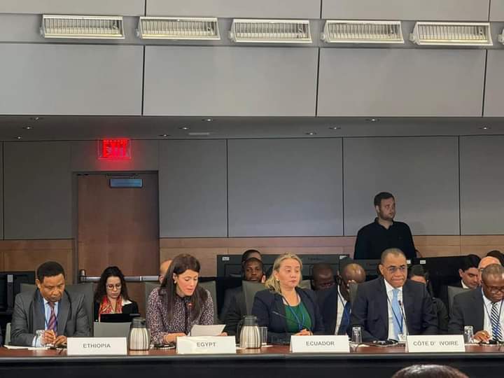 مصر تطالب العالم بالتوسع في أدوات التمويل المبتكرة ومبادلة الديون لدعم الدول النامية