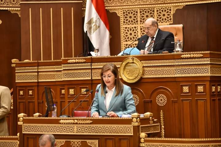 د.هالة السعيد أمام الشيوخ : ارتفاع الاستثمارات المستهدفة بالخطة لأكثر من تريليوني جنيه