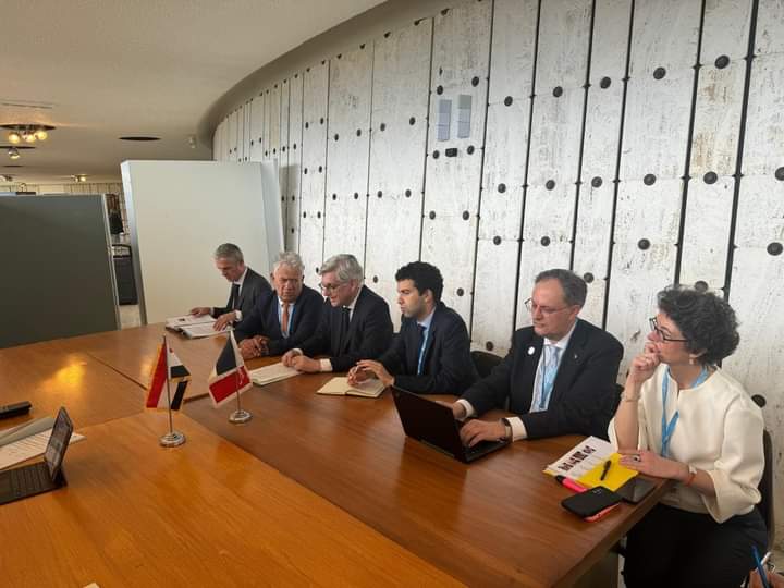 وزير الصحة يبحث مع سانوفي الفرنسية تعزيز التعاون في اللقاحات والأمصال