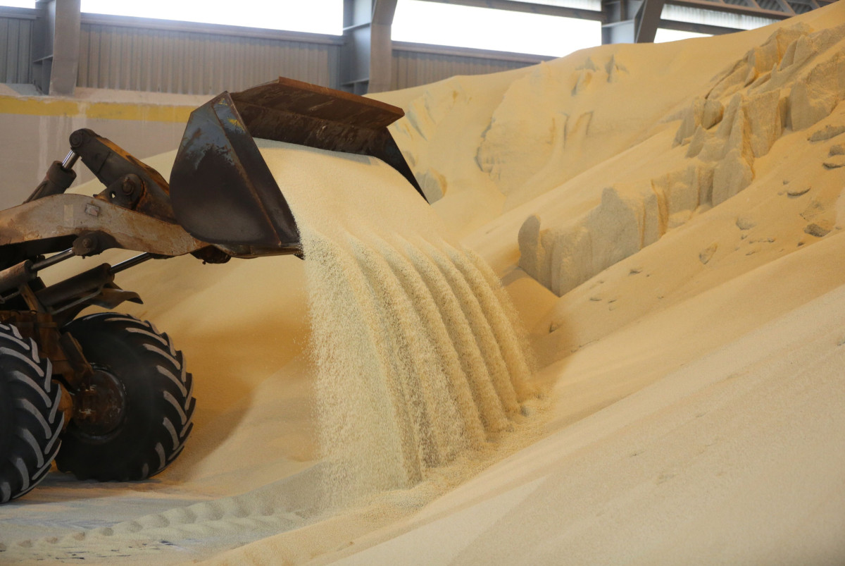 البترول: توقع اتفاقية مع "فيركيم مصر للأسمدة" في مشروعات تصنيع الفوسفات