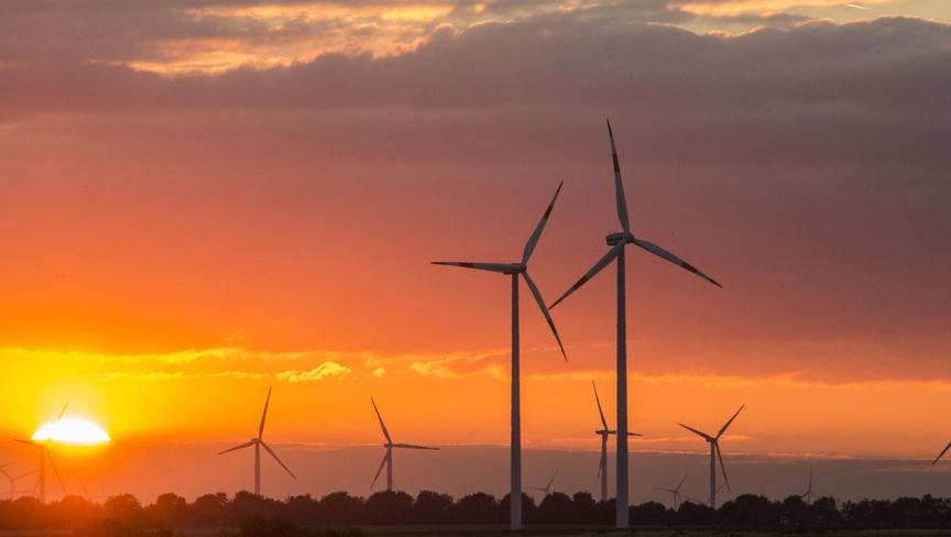 تقنية مصرية لإنتاج لدائن صديقة للبيئة من زيوت الطهي المستعملة