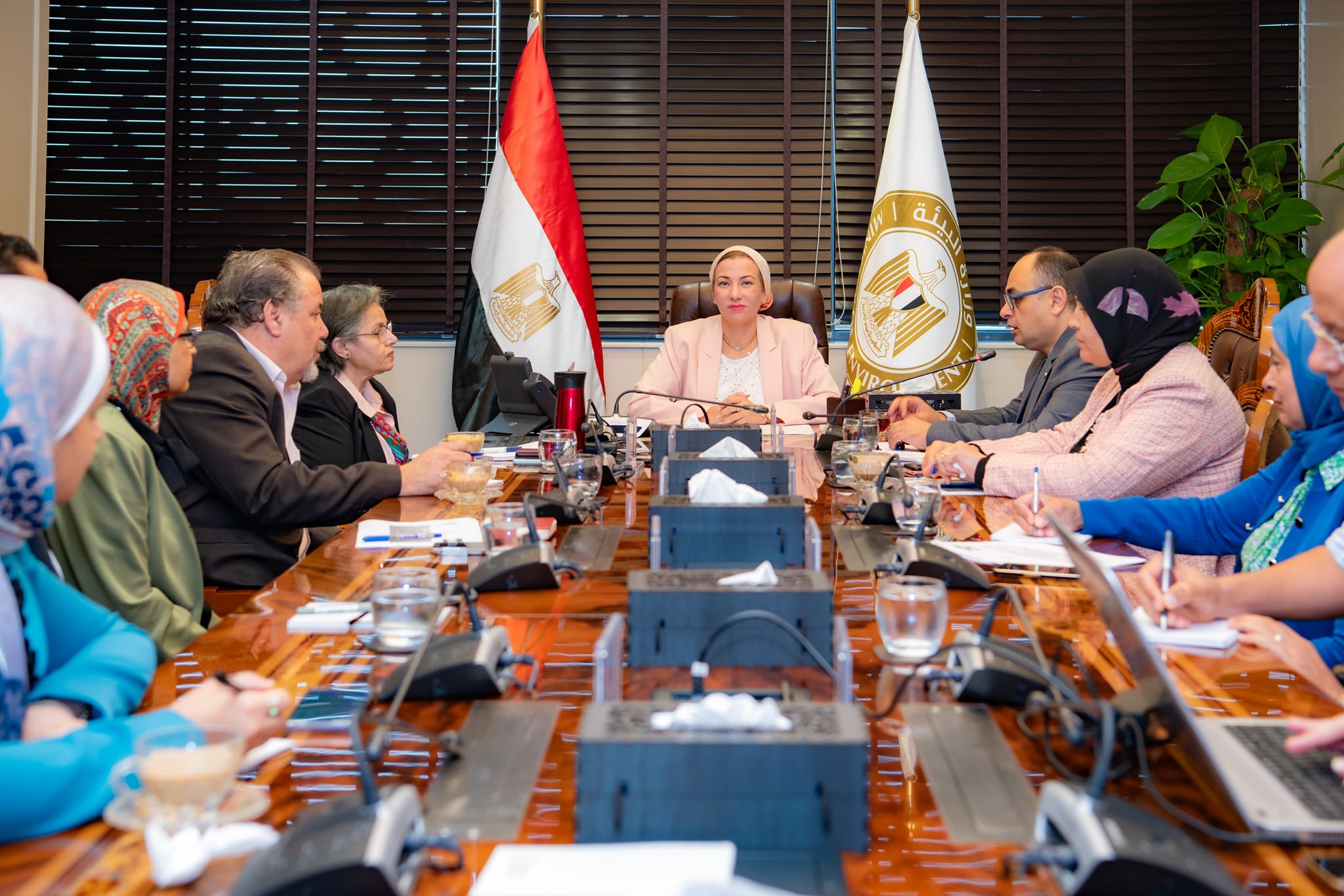 البنك الدولي يتابع استعدادات مصر لمواجهة موسم استثنائي للسحابة السوداء