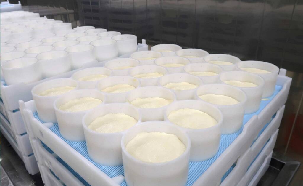 حماية المستهلك : ضبط منتجات ألبان مغشوشة لعلامات تجارية شهيرة و​لحوم فاسدة