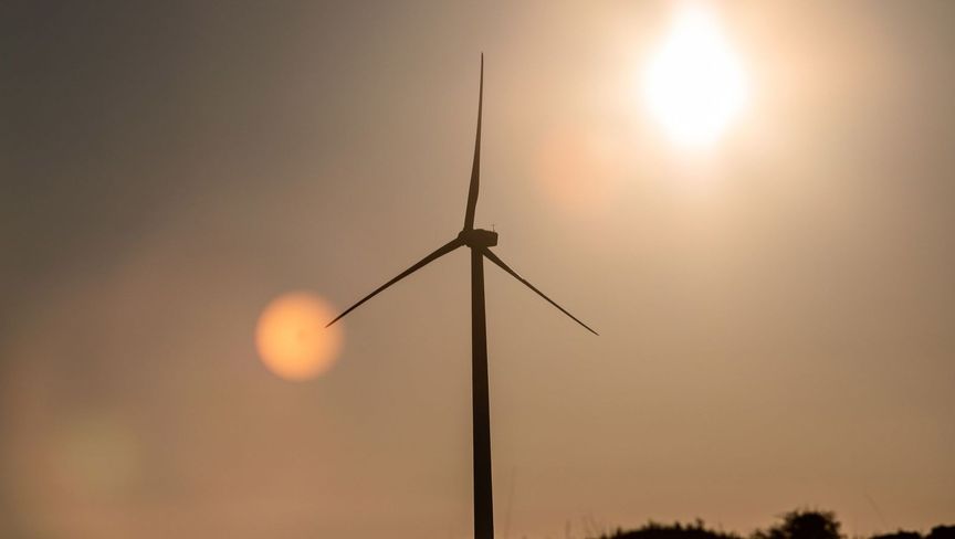 مصر تدشن محطة لطاقة الرياح بالتعاون مع تحالف "مصدر – إنفينيتي"