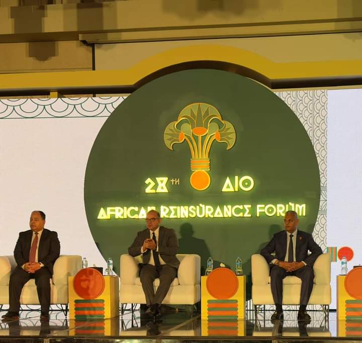 رئيس الرقابة المالية: التكنولوجيا المالية والتحول الرقمي أساس لتحقيق الشمول التأميني