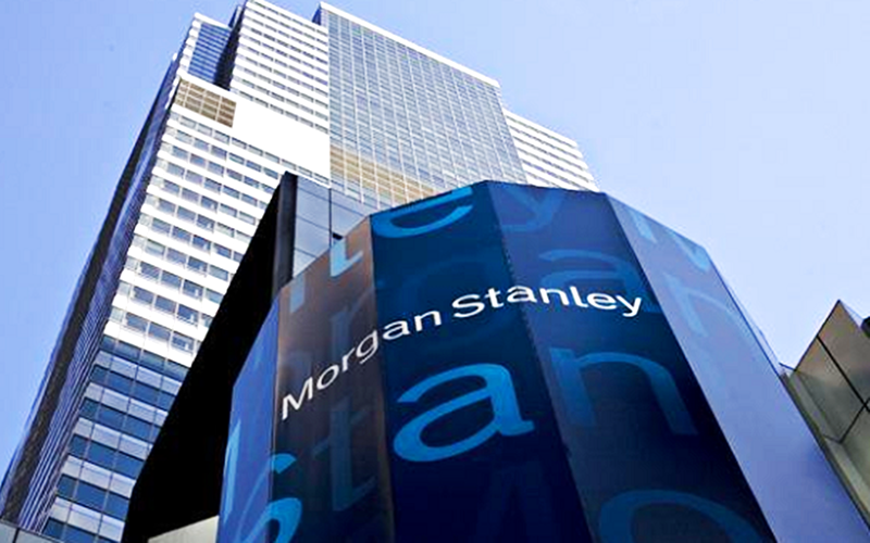 Morgan Stanley expects status quo on Egypt rates