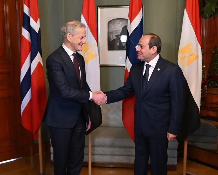 السيسي: مصر مستعدة للتعاون مع النرويج في إنتاج الهيدروجين الأخضر باستخدام الطاقة المتجددة