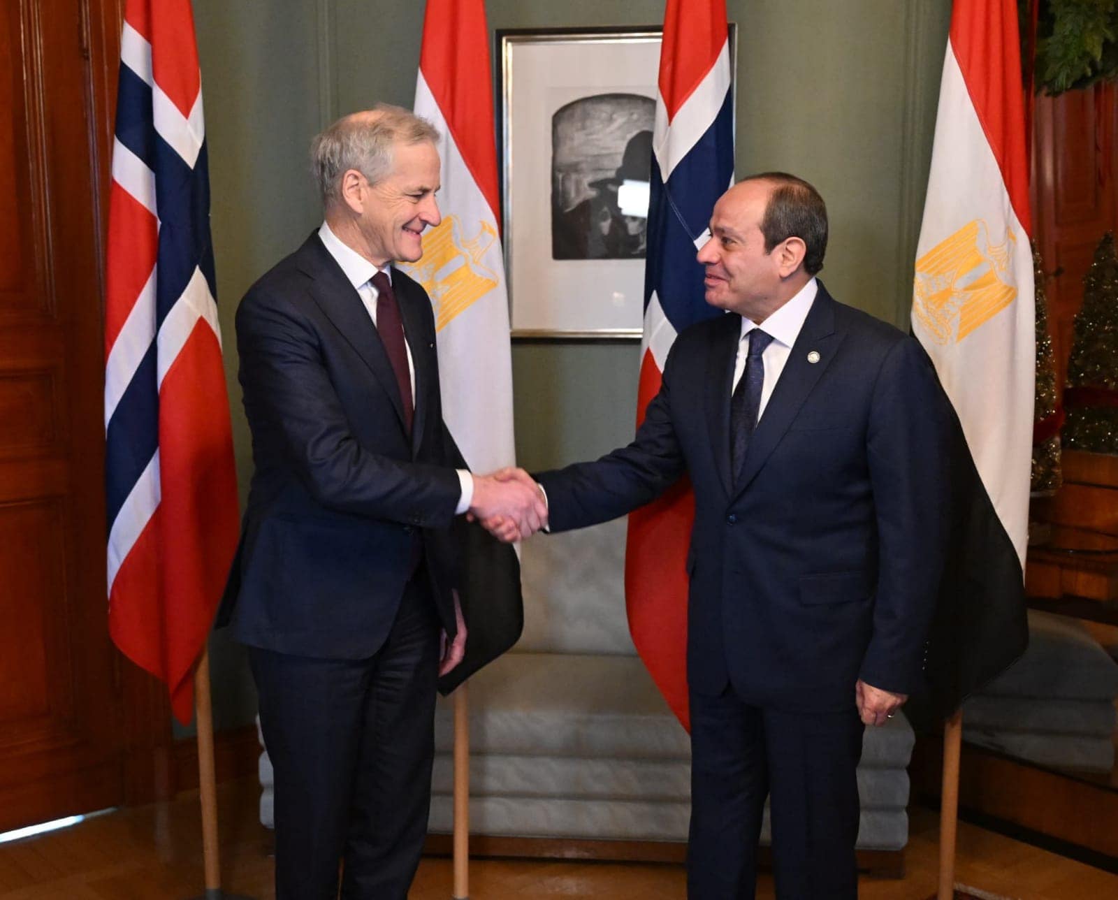 السيسي : تذليل أي عقبات تواجه الشركات النرويجية في مصر