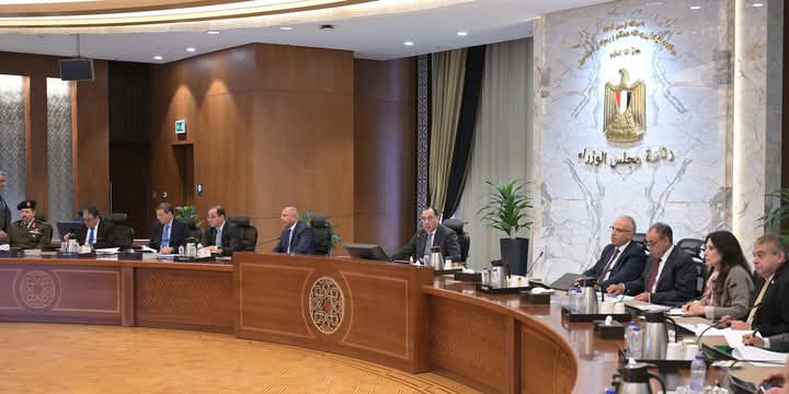 مدبولى : مجموعة عمل لبدء تنفيذ مقترح الصفقات المتكافئة مع الدول الإفريقية