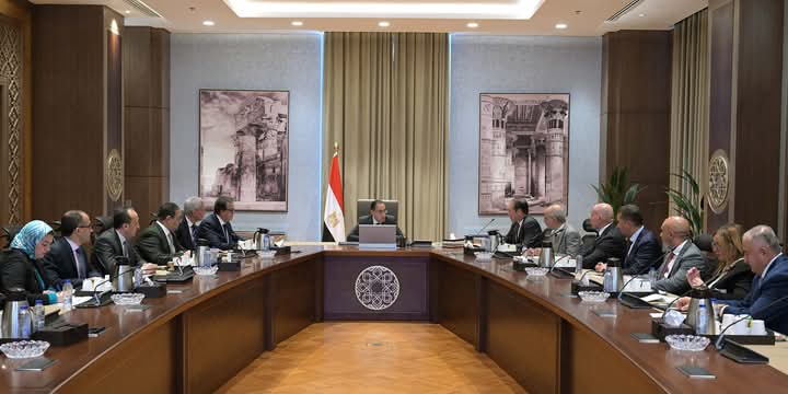 مشروع لتصنيع أجهزة السونار محليا بالتعاون مع شركة جنرال إلكتريك هيلثكير