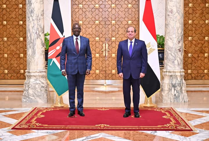 السيسي: دعم تواجد الشركات المصرية فى الأسواق الكينية