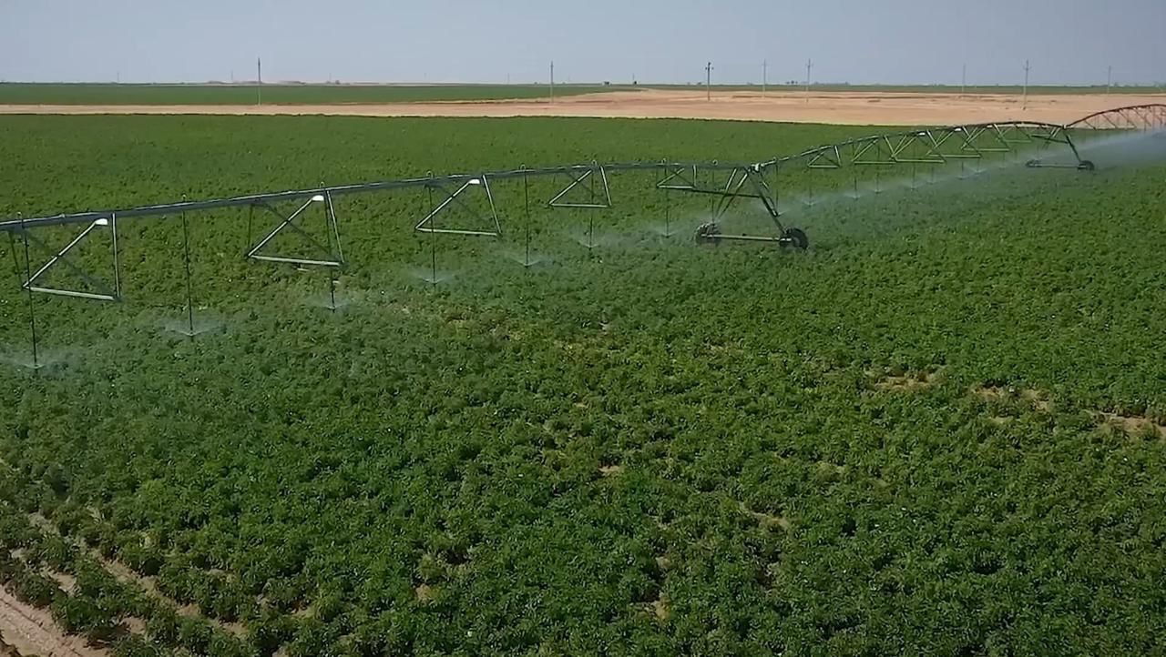 جهاز مستقبل مصر للتنمية المستدامة ينفذ حلقة متكاملة من الإنتاج وحتى توزيع السلع لتوفير منتجات عالية الجودة بأسعار مخفضة