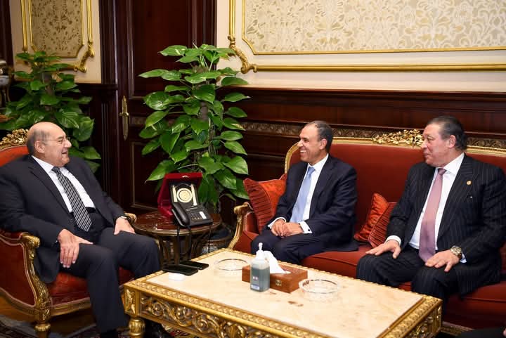 وزير الخارجية والهجرة يلتقى مع رئيس مجلس الشيوخ ولجنتى العلاقات الخارجية