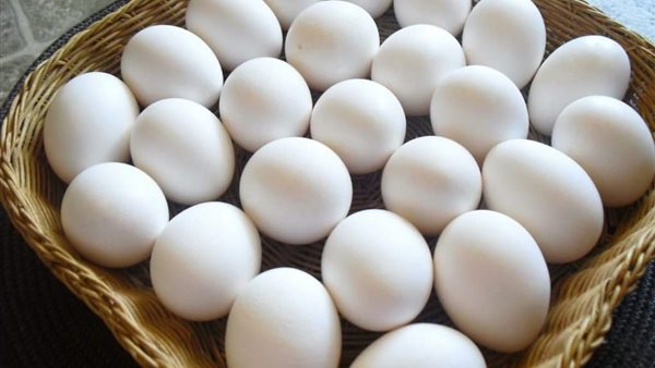 Egypt produces 1.5 billion chickens, 14 billion eggs annually
