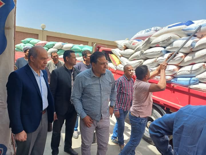 Opening of wheat supply season in Fayoum for maturity of crop