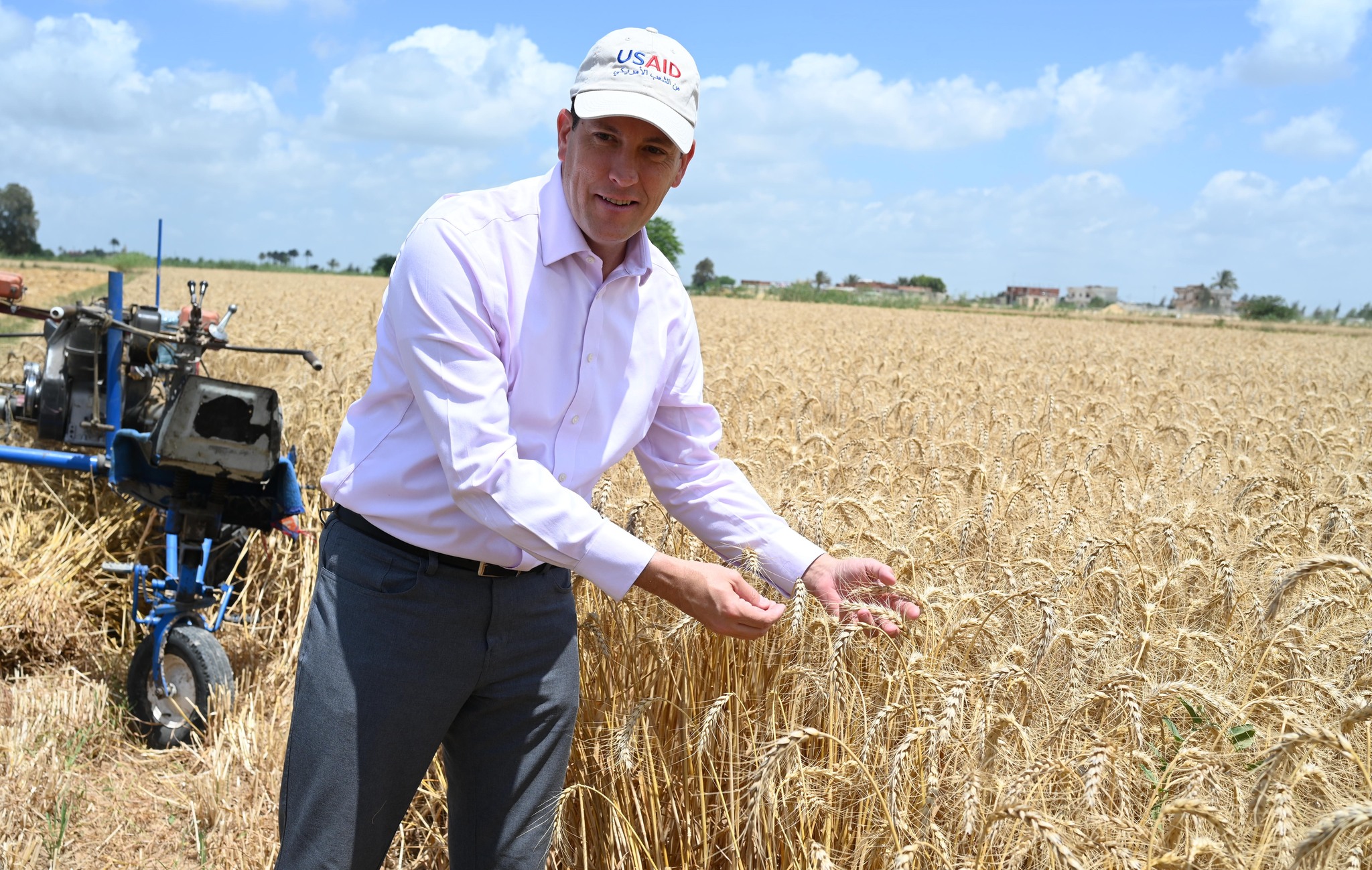 Egypt plants 3.1M acres of wheat, eyes 10M ton harvest