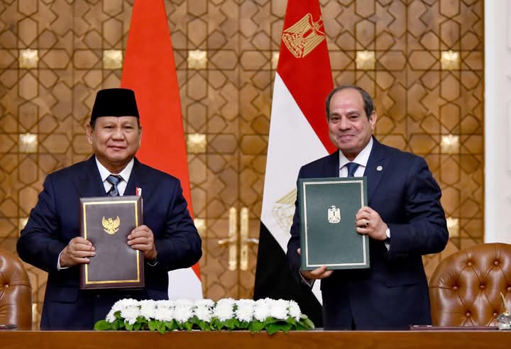 السيسي ورئيس إندونيسيا يبحثان تفعيل التعاون في مجالات التصنيع والتجارة والاستثمار