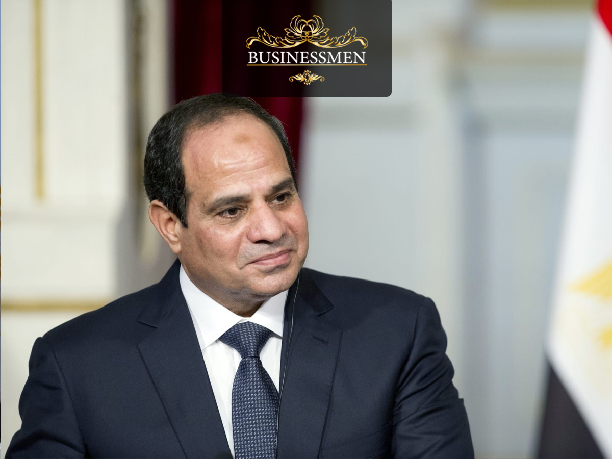 Sisi outlines plan to reduce investor procedures