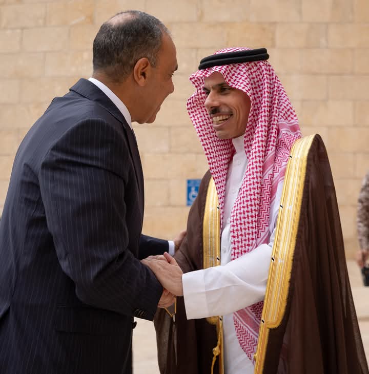 وزير الخارجية : أهمية الاستفادة من اتفاقية تشجيع وحماية الاستثمارات بين مصر والسعودية