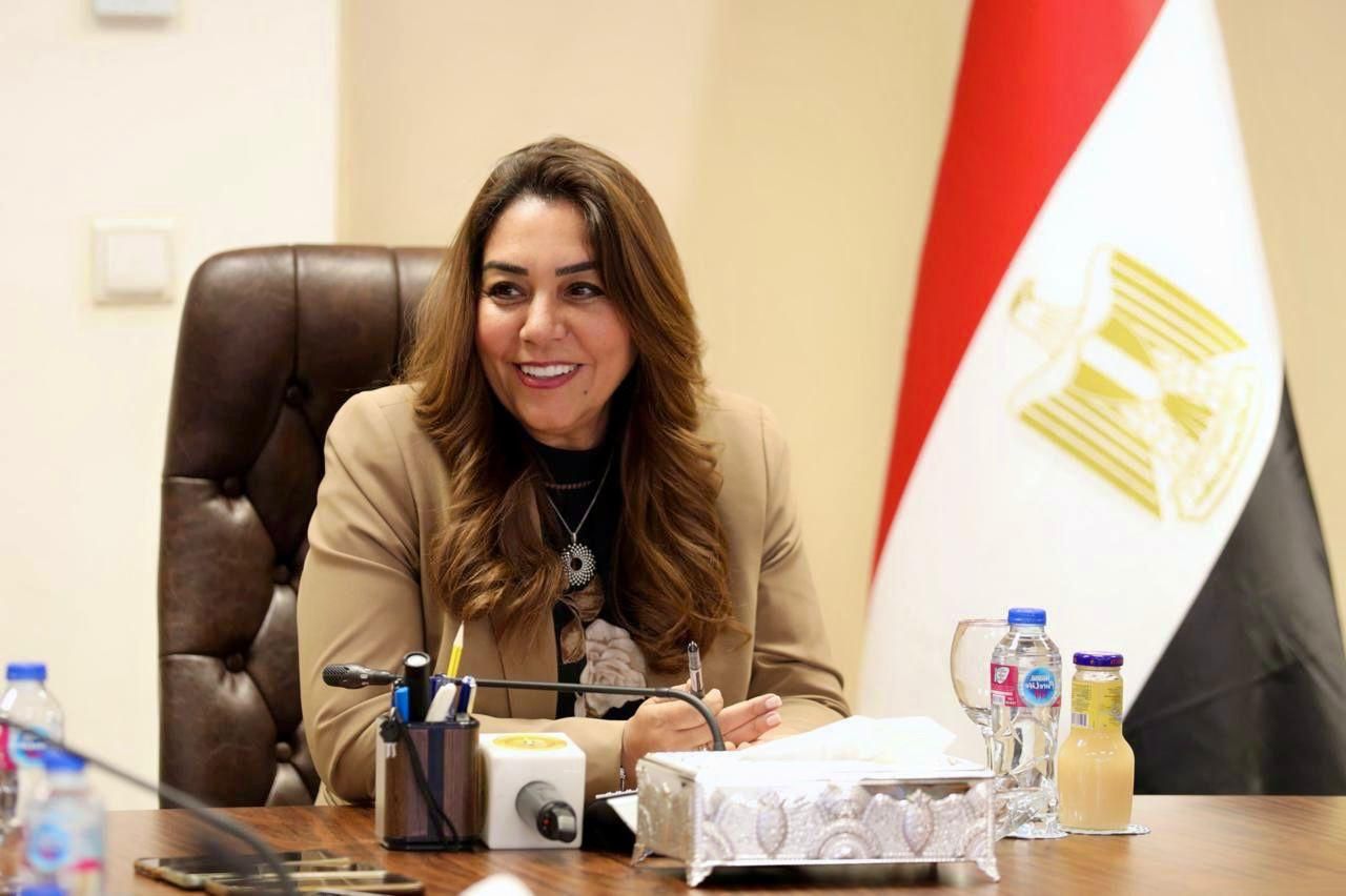 Awad: EGP 875.5M allocated for new projects in Sinai