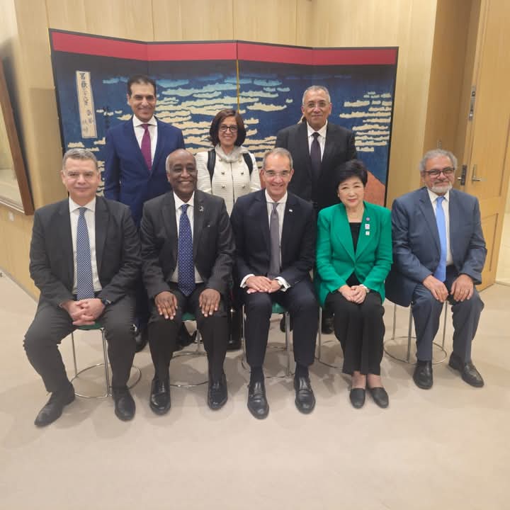 Egypt collaborates with Japan on AI, cybersecurity, postal innovation