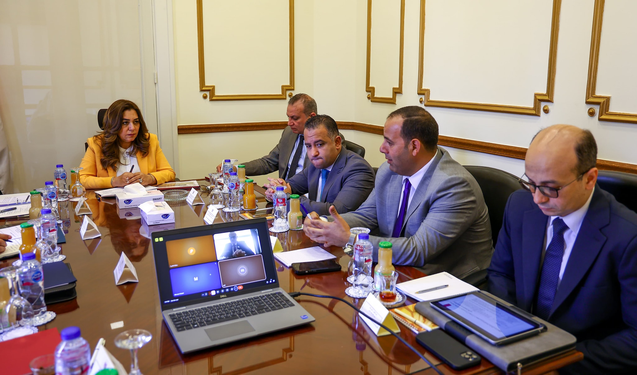 Alexandria and Qalyubia explore development of idle assets