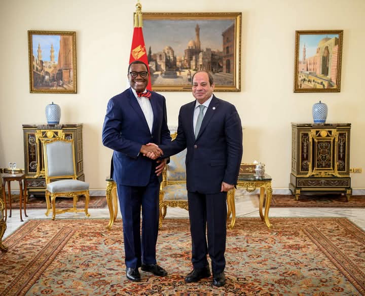السيسي يبحث تعزيز التعاون مع البنك الإفريقي للتنمية