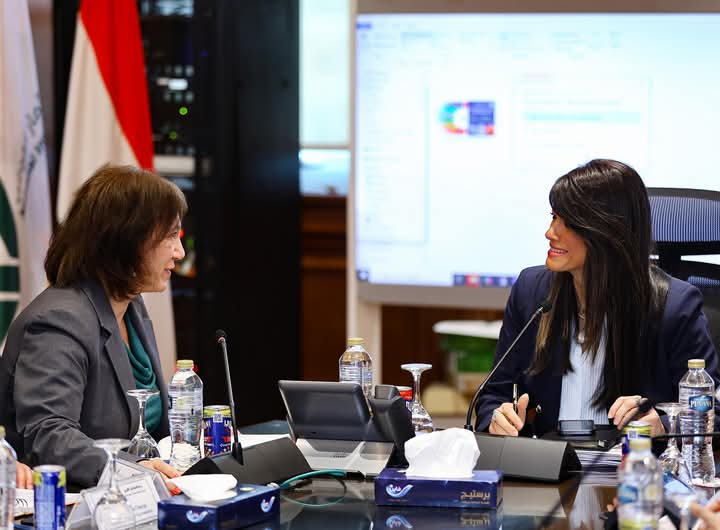 Egypt, IMF discuss bridging the financing gap