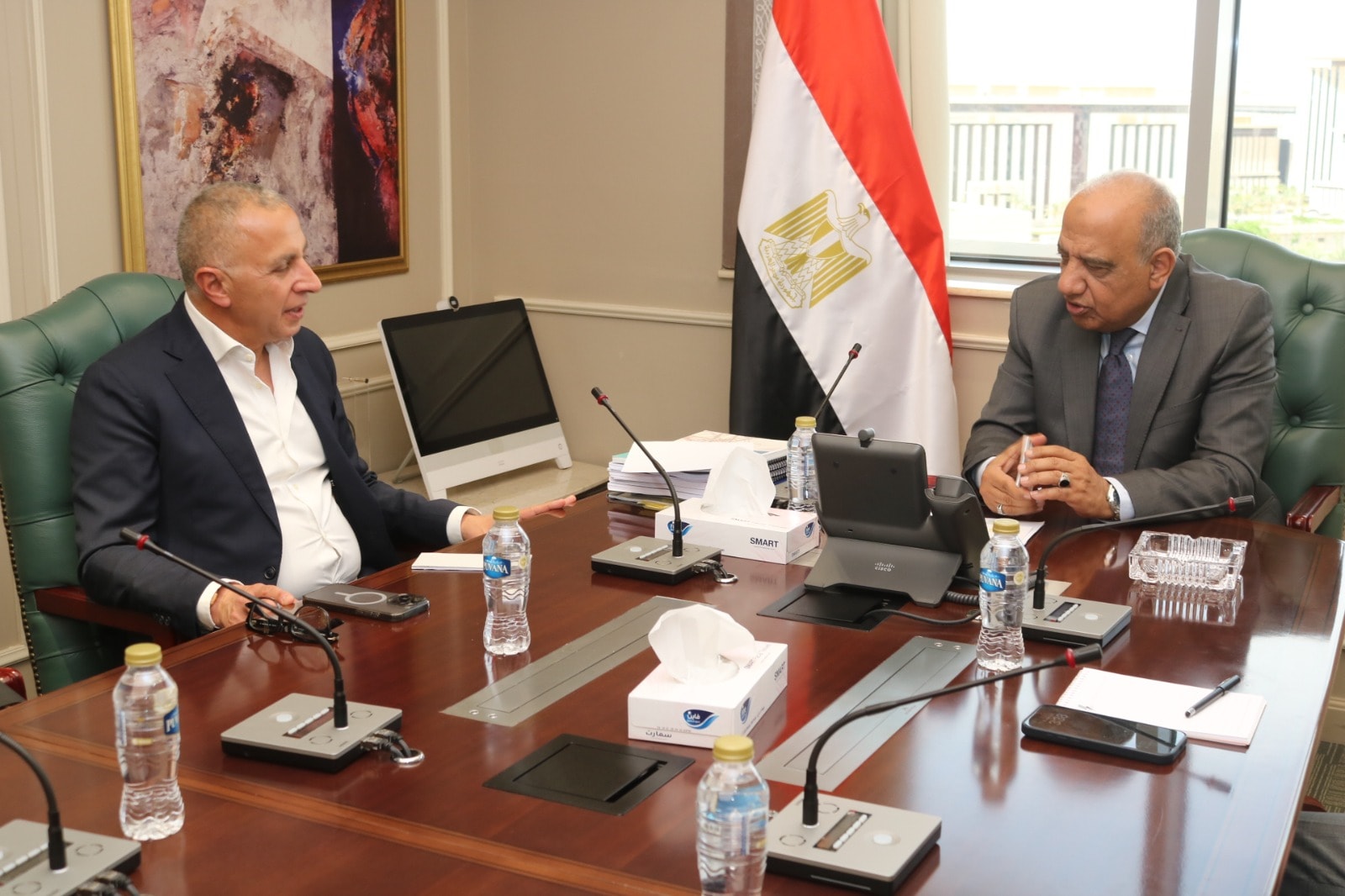 Electricity Ministry, Elsewedy Electric discuss plans for loss reduction