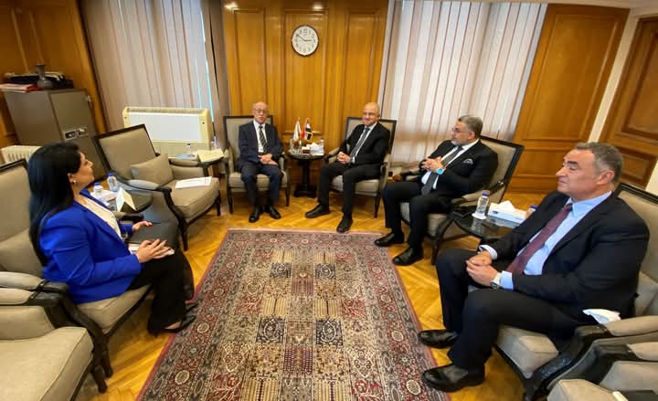 Egyptian-Japanese cooperation in the field of industry